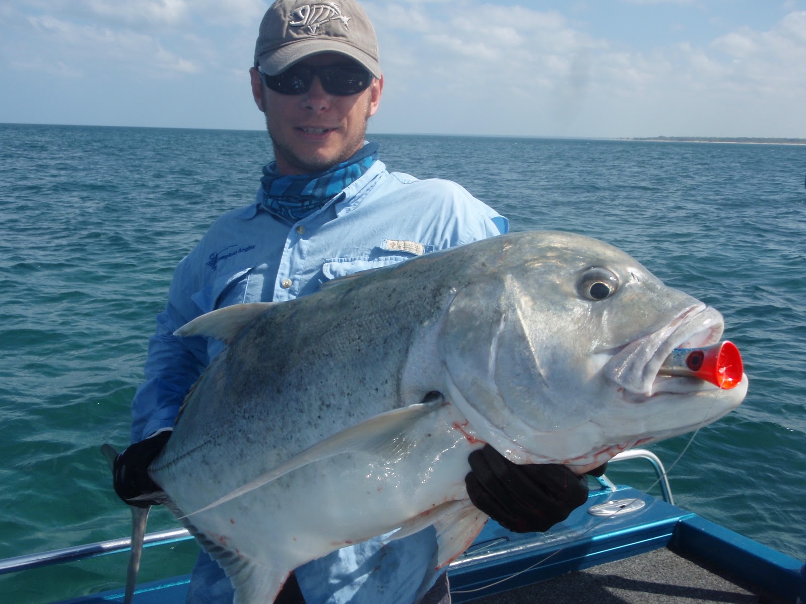 Weipa Sports Fishing Bait Balls......